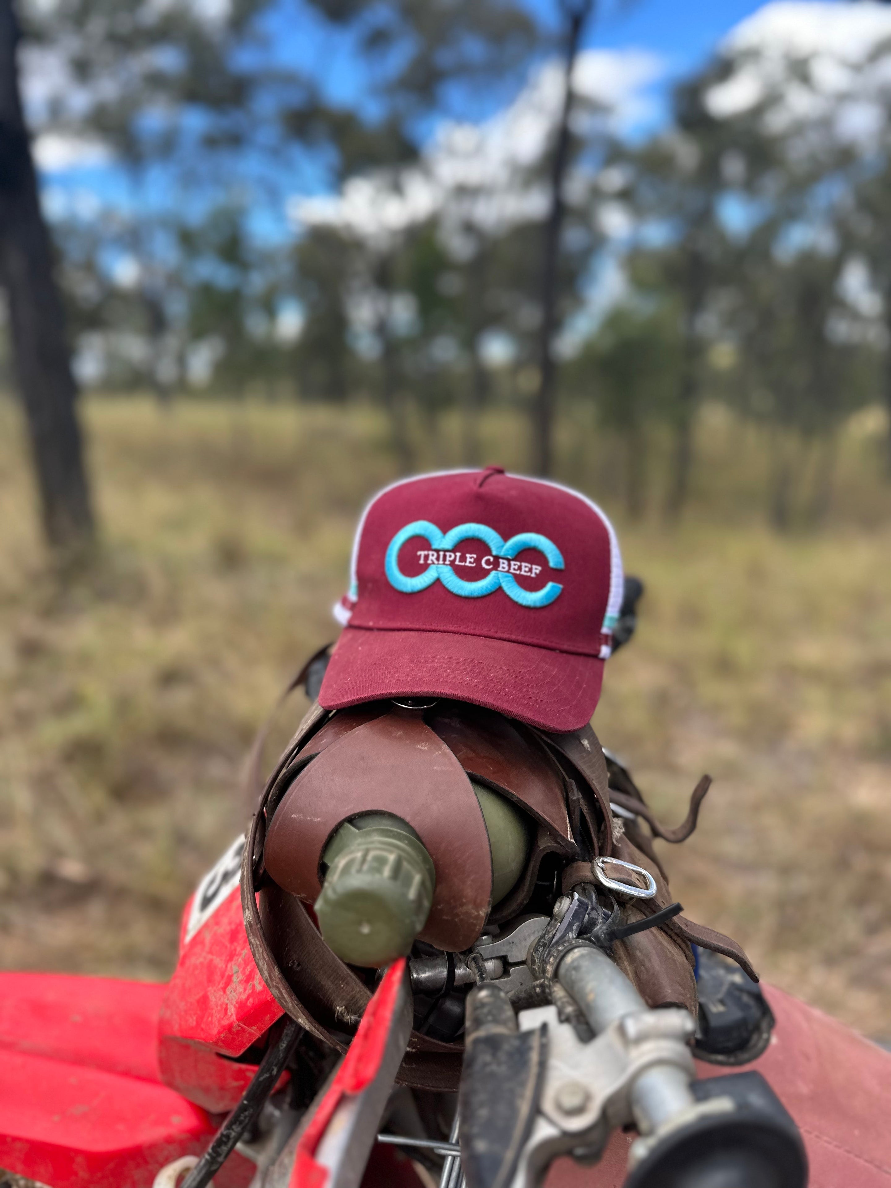 Triple C Beef - Mesh back hats – The Country Rascals
