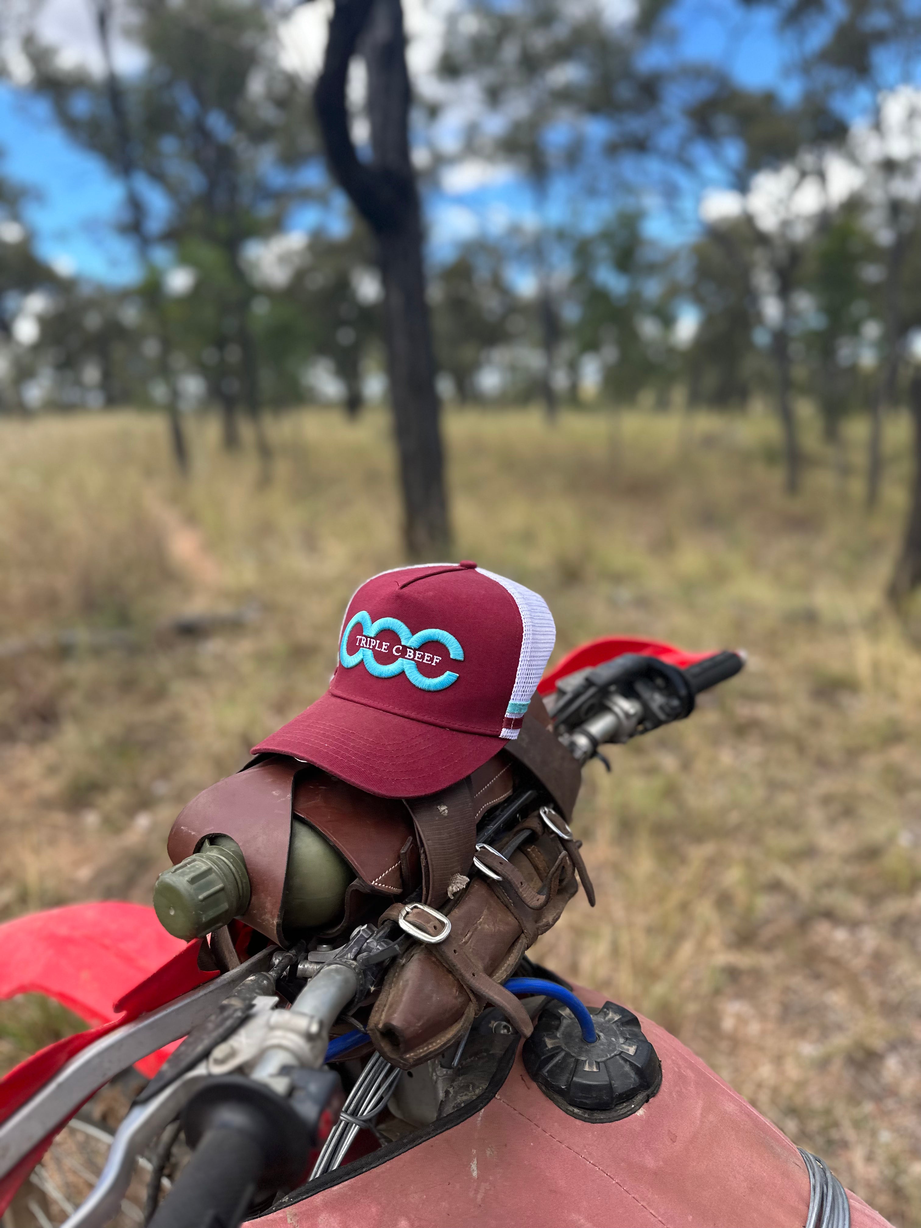 Trucker Cap | Triple C Beef Red | Sky