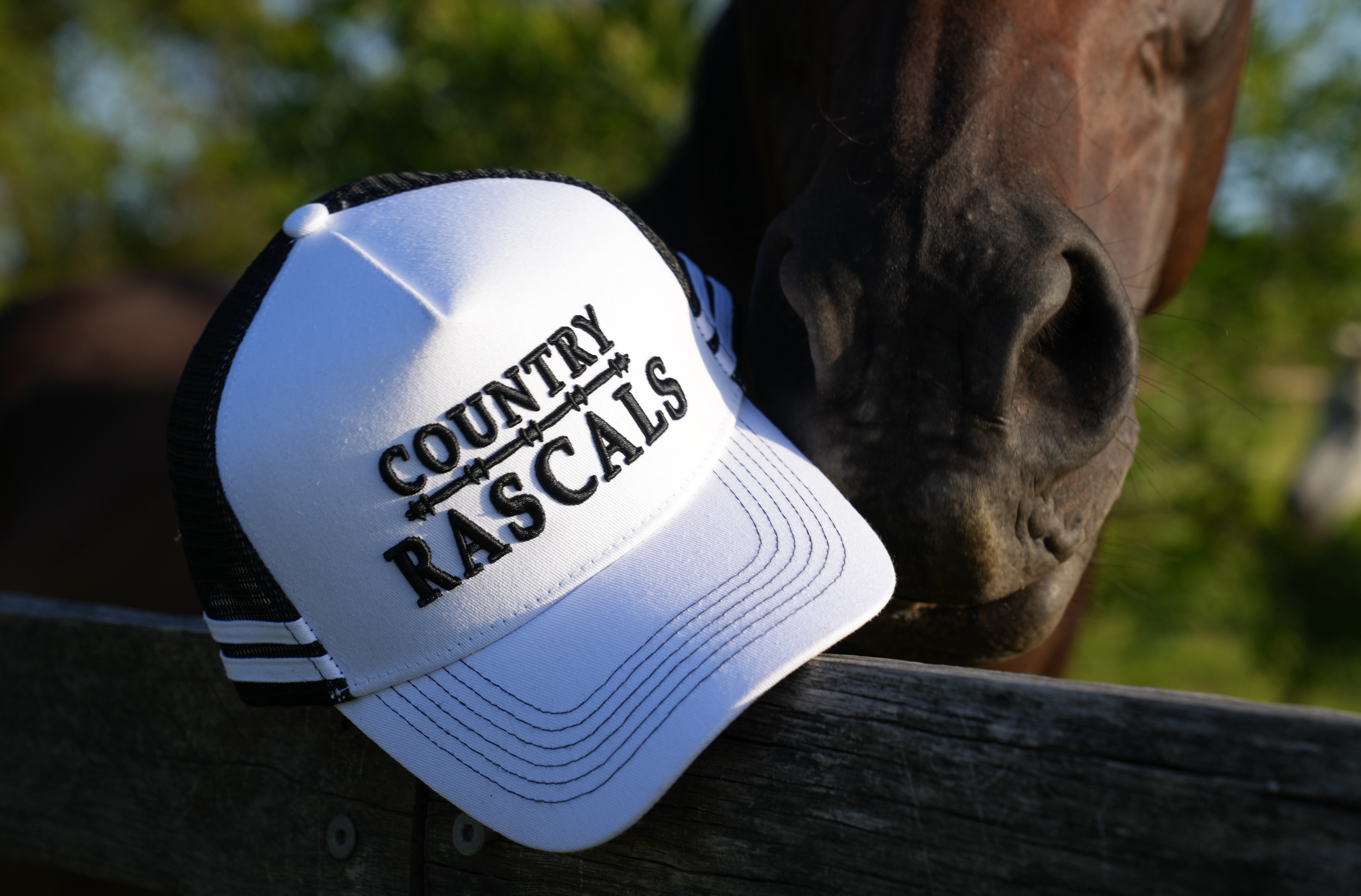 Trucker Cap | Branded White | Black